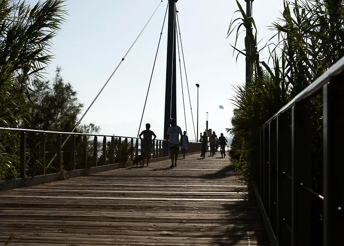 Hôtel accueillant les animaux: Camping Platja Cambrils